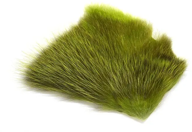 American Opossum BG Green FutureFly 